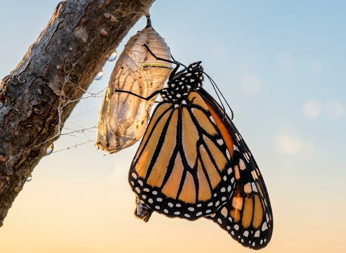 New skills and sharper judgment emerging after embracing AI in product management