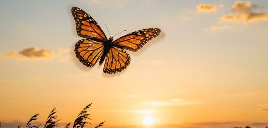 Product manager flying into the future by building new capabilities on top of AI